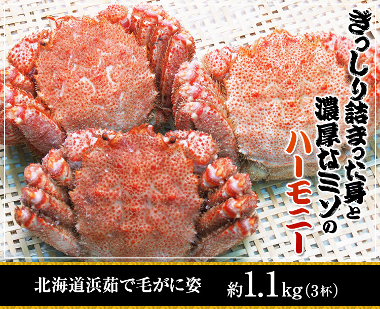 かに本舗054：北海道浜茹で毛蟹姿約 １.１kg（３杯）9,800円(税込) 送料無料
