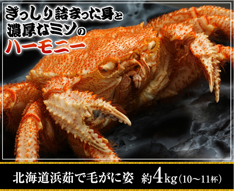 かに本舗076：北海道浜茹で毛蟹姿 約４kg（１０～１１杯）24,800円(税込) 送料無料