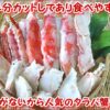 網走水産739：ボイル本タラバガニカット 800ｇ　/ボイル冷凍（2~3人用）